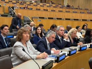 SOBERANÍA: La Vicegobernadora integró la delegación argentina ante el Comité de Descolonización de la ONU
