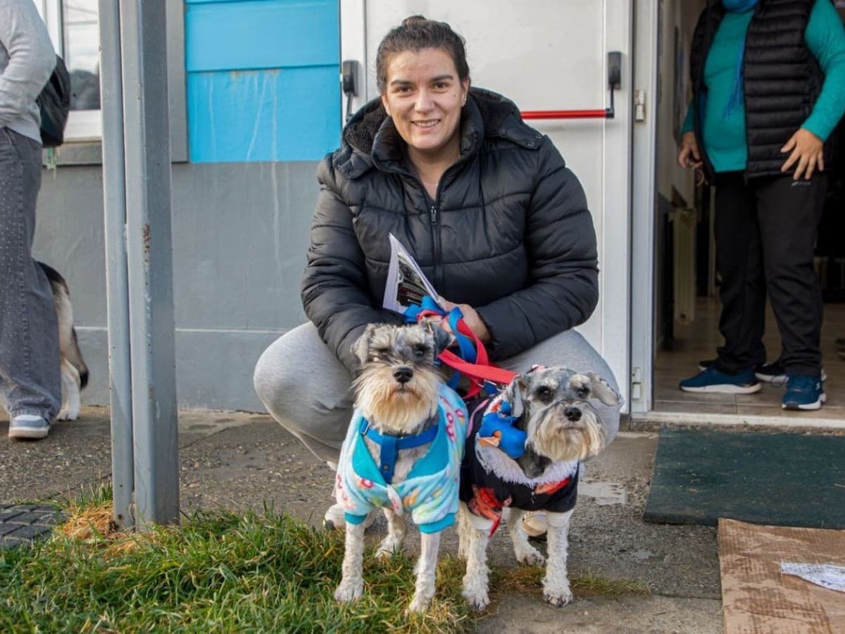 El municipio realizará una nueva jornada de vacunación, colocación de chip y adopción de mascotas