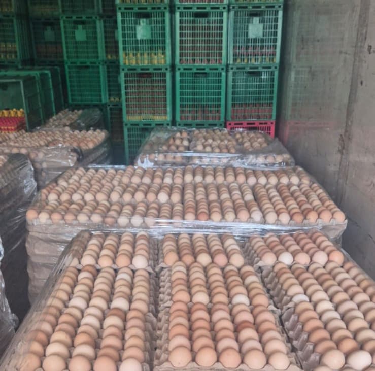 Decomisan huevos sin garantías sanitarias